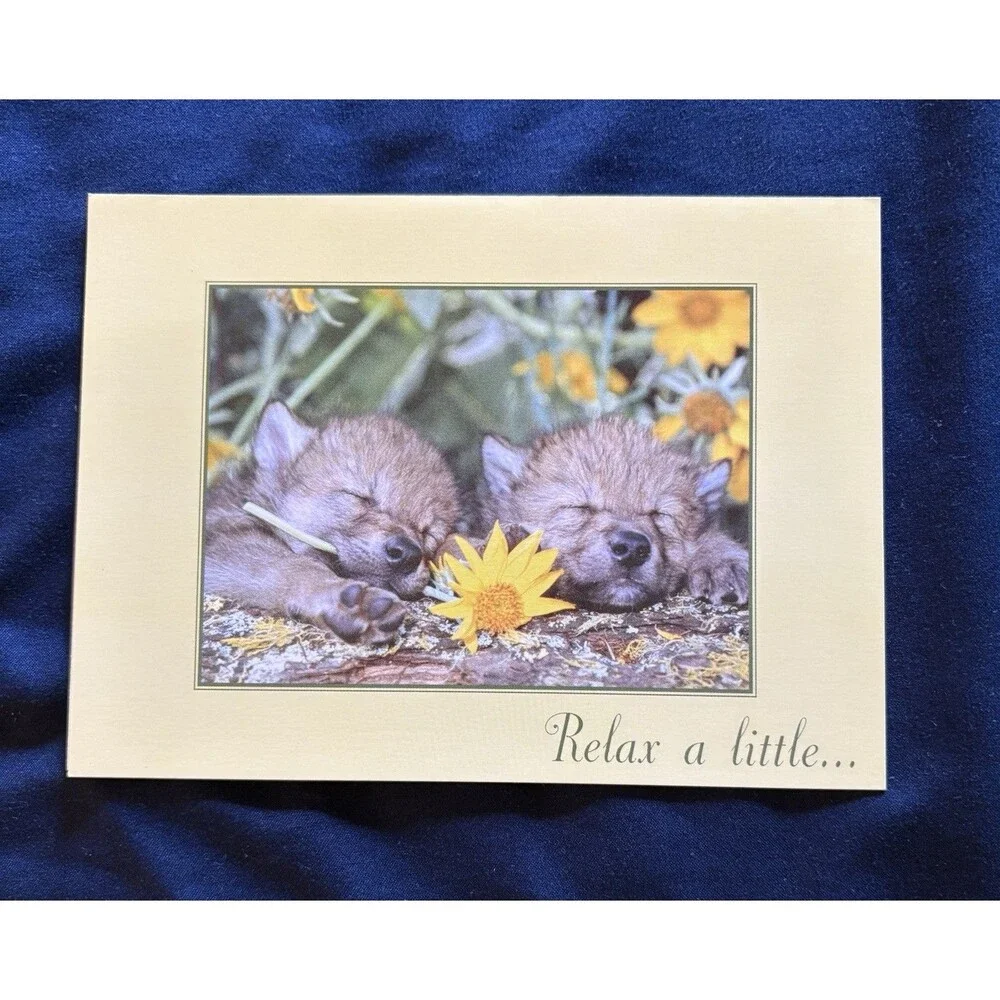 Birthday Card with White Envelope | Baby Wolf and Wildlife design By NWF